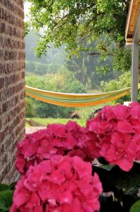 Κήπος έξω από το Boerderaaj vakantiewoning