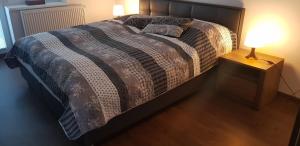 1 cama en un dormitorio con una lámpara en una mesa en VIP Apartmány Žabník en Prievidza