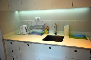 Kuchyň nebo kuchyňský kout v ubytování Apartment Exclusive
