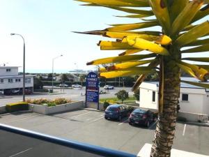 uma palmeira em frente a um parque de estacionamento em Bay Viaduct Motor Lodge em Timaru