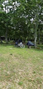 Fotografie z fotogalerie ubytování Bikers camp v Poreči