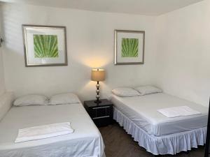 two beds in a room with white walls at Palmira Hostel in Tegucigalpa