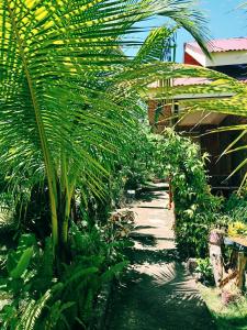 a garden with palm trees and a pathway at TAGBALAYON Lodging House in Siquijor