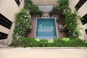a window with plants on the side of a building at Riad Dar Haven in Tamraght Ou Fella