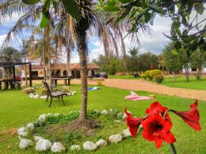 Galeriebild der Unterkunft Hotel Boutique La Carreta in Villa de Leyva