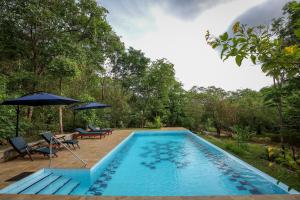 una piscina con 2 sillas y una sombrilla en Flamboyant Villas, en Dambulla