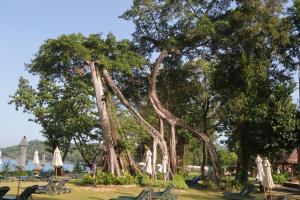 Naturlandschaft in der Nähe des Resorts