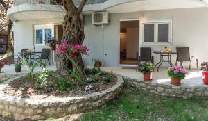 Zahrada ubytování Apartments Radost