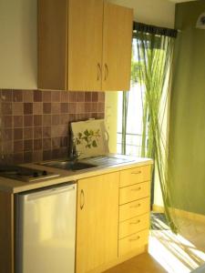 Kuchyň nebo kuchyňský kout v ubytování Elina Apartments