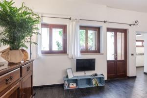 uma sala de estar com uma televisão e um vaso de plantas em Violino azul em Cremona