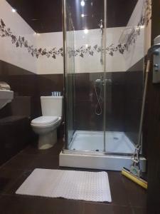 uma casa de banho com um chuveiro e um WC. em Batumi Elite Apartment em Batumi