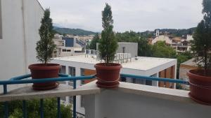 three potted trees in pots on a balcony at Апартамент за нощувки in Gotse Delchev