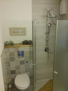 een badkamer met een toilet en een douche bij Hamedina de Silvina in Kafr Sābā