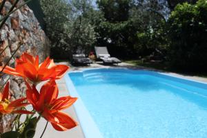 uma piscina com uma flor vermelha ao lado em Holiday Home Liberta em Krnica