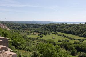 an aerial view of a green field with trees at 108 b&b in Grotte di Castro