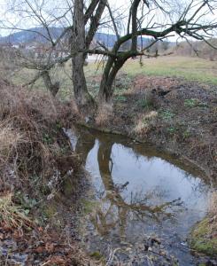 Φωτογραφία από το άλμπουμ του Sörényes Udvarház σε Pénzesgyőr +49 φωτογραφίες