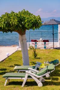 a group of lounge chairs and an umbrella next to a tree at Kiko, the Coastline house in Kato Achaia