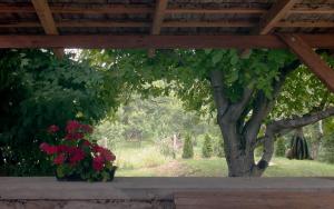 Bátor的住宿－Nevenincs Vendégház，一张桌子,上面有鲜花和一棵树