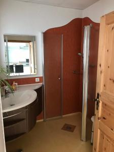 a bathroom with a sink and a shower and a mirror at Zur alten Tischlerei in Wurzen
