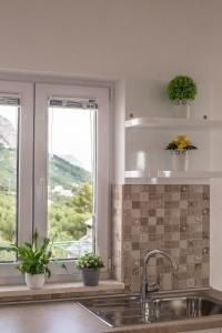 una cocina con fregadero y una ventana con plantas en Apartments Jure, en Makarska