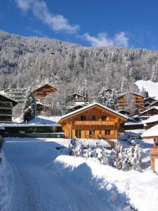 a ski lodge in the snow in front of a mountain at Chalet Courage in Champéry