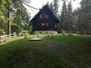 a log cabin in the middle of a grassy yard at Cosy Lodge Pokljuka in Goreljek