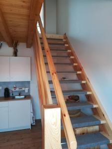Kuchyň nebo kuchyňský kout v ubytování Apartmány Réví