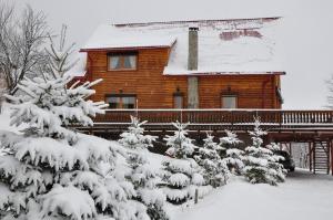 Carpathian Log Home v zimě