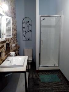 a bathroom with a shower and a white sink at AUX ROSIERS in Salies-de-Béarn