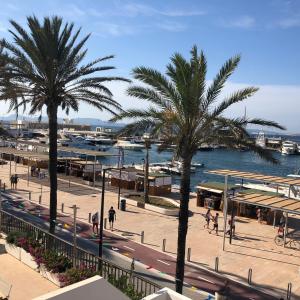 vistas a un puerto con palmeras y barcos en Apartamentos Mar i Vent Puerto de La Savina Formentera en La Savina