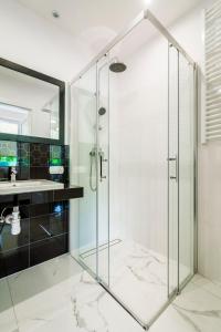 a glass shower in a bathroom with a sink at BeeApartments Żywiecka 49 in Nowy Sącz