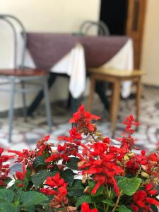 Φωτογραφία από το άλμπουμ του Guest House Plima 2 στην Μπούντβα