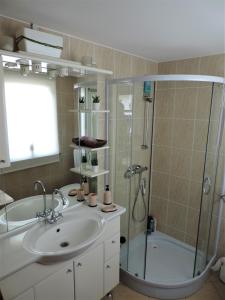 La salle de bains est pourvue d'un lavabo et d'une douche. dans l'établissement Zidanica Lan, à Lendava
