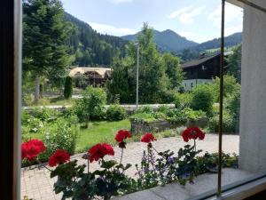 a view from a window of a garden with red flowers at Haus Maria in Kleinarl