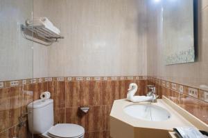 a bathroom with a toilet and a sink at Pension Areas in O Pindo