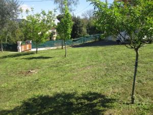 deux arbres dans une cour avec une clôture dans l'établissement Holiday Home l'Angelet, à Vallauris
