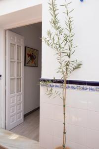 Fotografie z fotogalerie ubytování Alhaurin Old Town, Casa Flamingo, 2 bed apartment v destinaci Alhaurín el Grande