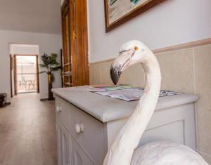Fotografie z fotogalerie ubytování Alhaurin Old Town, Casa Flamingo, 2 bed apartment v destinaci Alhaurín el Grande