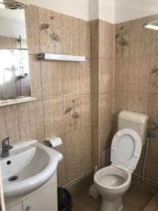 a bathroom with a white toilet and a sink at Casa Dexter in Vama Veche
