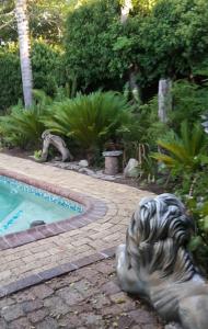 a statue of a lion sitting next to a swimming pool at MAVILLA STELLENBOSCH B&B in Stellenbosch