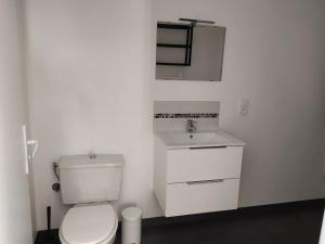 Baño blanco con aseo y lavamanos en Duplex plein centre ville 10B, en Malestroit