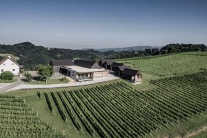 una vista aérea de una casa en medio de un viñedo en Winzerhäuser J&A Skringer, en Leutschach