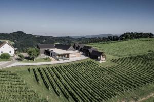 una vista aerea di una casa nel mezzo di un vigneto di Winzerhäuser J&A Skringer a Leutschach