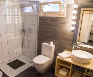 a bathroom with a toilet and a sink and a shower at Chalet le Knou in Champéry