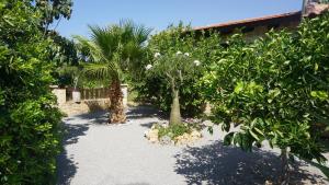 A garden outside Studio Panagiota - Oasis holiday houses