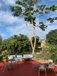 d'une terrasse avec des tables, des chaises et un arbre. dans l'établissement Palmira Hostel, à Tegucigalpa