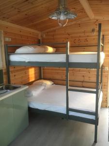 a bedroom with two bunk beds in a cabin at Waterhut 1 Aduarderzijl in Aduarderzijl