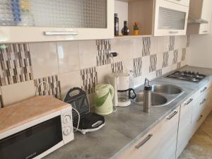 uma pequena cozinha com um lavatório e um micro-ondas em Plitvice Rooms em Smoljanac