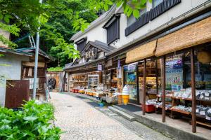 Gallery image of Toemu Nozawa Lodge in Nozawa Onsen