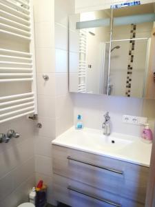 a bathroom with a sink and a mirror at Hanslbauernhof in Moosbach +31 photos